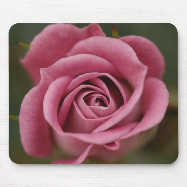 Tapis De Souris Perfection rose Mousepad (Devant)