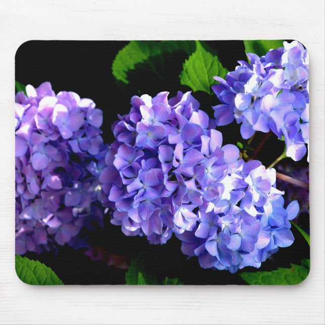 Tapis De Souris Périwinkel hydrangeas fleurs violettes fleurs bleu (Devant)