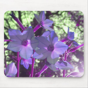 Tapis De Souris Périwinkle Nicotiana mousepad