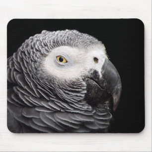 Tapis De Souris Perroquet Gris Africain