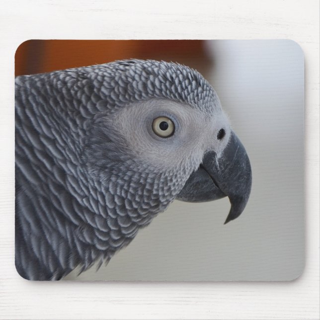 Tapis De Souris Perroquet majestueux de gris africain (Devant)