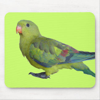 Tapis De Souris Perroquet vert