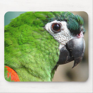 Tapis De Souris Perroquet vert Mousepad