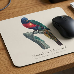 Tapis De Souris Perruche a tete bleue / Rainbow lorikeet
