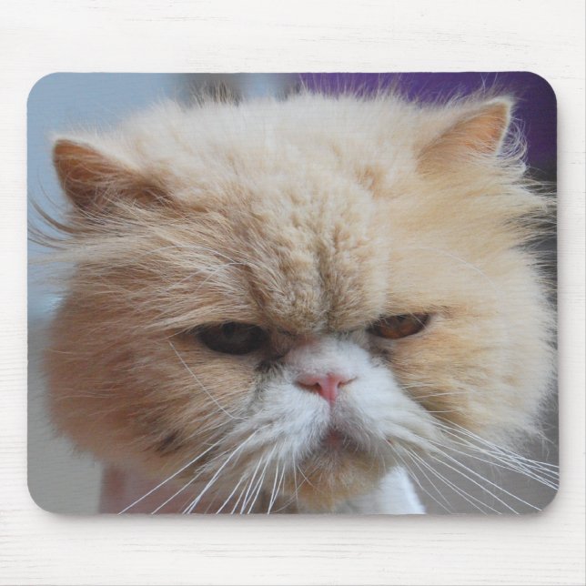 Tapis de souris Persan parfait (Devant)