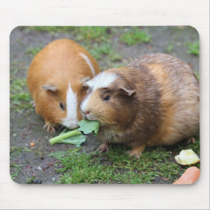 Tapis De Souris Personnalisé, photo de animal de compagnie moderne
