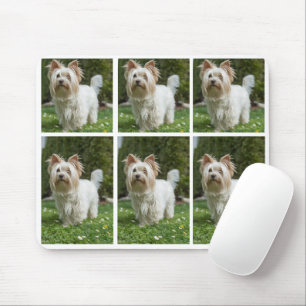 Tapis De Souris Personnaliser 6 Photo Collage propriétaire de chie