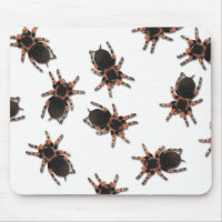 Personnaliser Tarantulas
