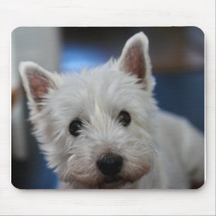 Tapis De Souris Pestie ultra mite Westie White Terrier