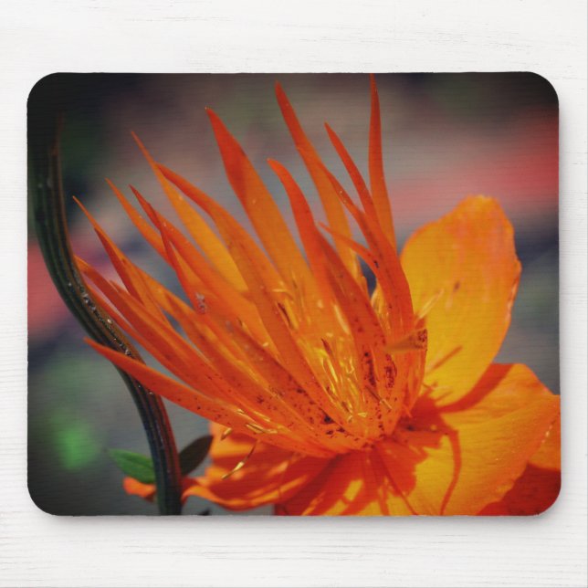Tapis De Souris Pétales à fleurs orange jaune (Devant)
