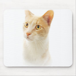 Tapis De Souris Petit Chat Blondie Curieux