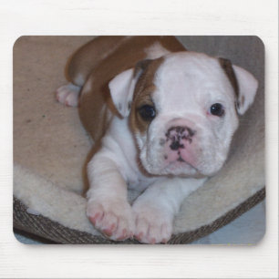 Tapis De Souris Petit chiot mignon Mousepad de bouledogue