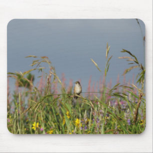 Tapis De Souris Petit colibri gras