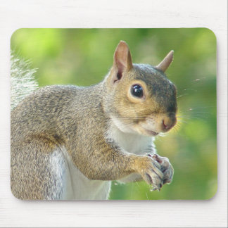 Tapis De Souris Petit écureuil amical Mousepad