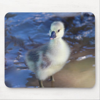 Tapis De Souris Petit Gosling Mousepad