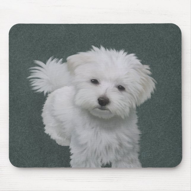Tapis De Souris Petit portrait de chien blanc (Devant)