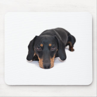 Tapis De Souris Petit teckel