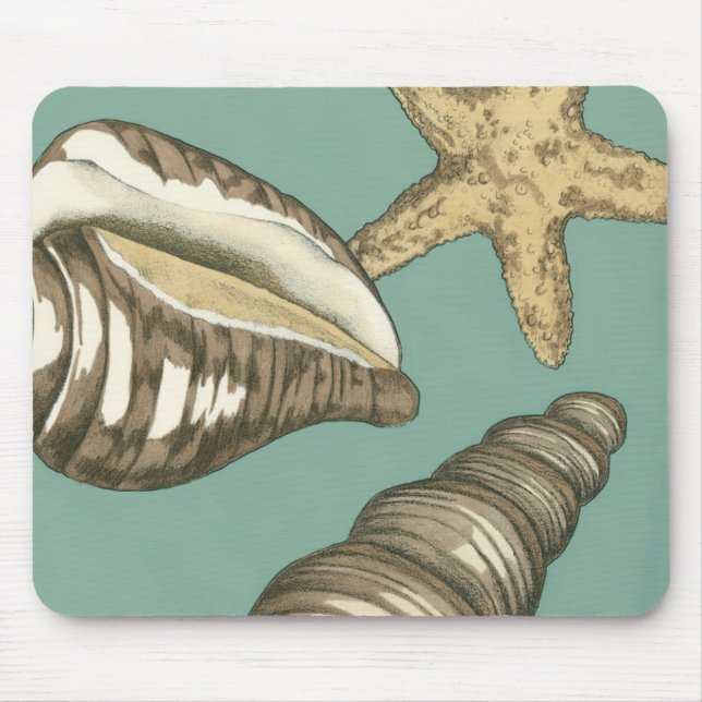 Tapis De Souris Petit trio Shell Turquoise (Devant)