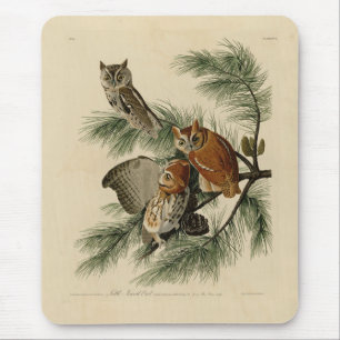 Tapis De Souris Petite chouette à cris des oiseaux d'Amérique d'Au