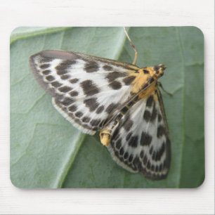 Tapis De Souris Petite mousepée de papillon à tarte