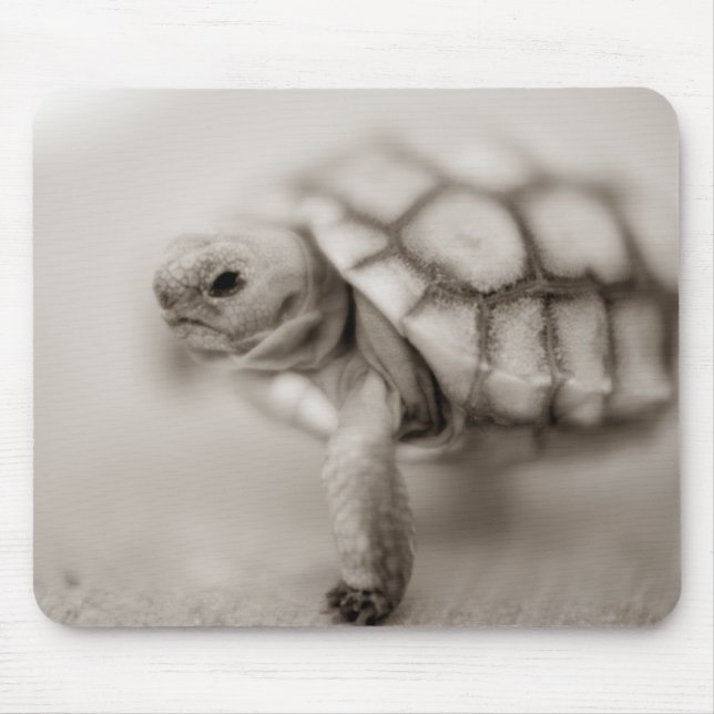 Tapis De Souris Petite tortue (Devant)
