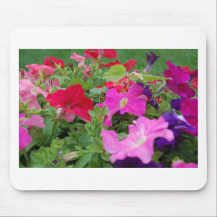 Tapis De Souris Petunias