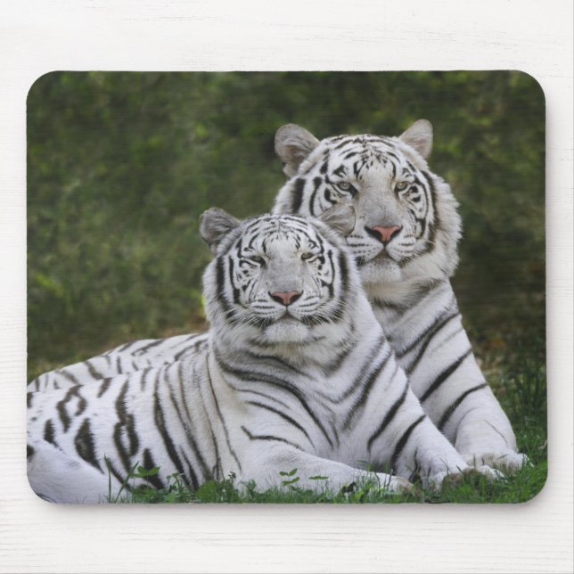 Tapis De Souris Phase blanche, Tigre du Bengale, Tigris (Devant)