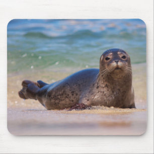 Tapis De Souris Phoque du port bébé dans l'eau