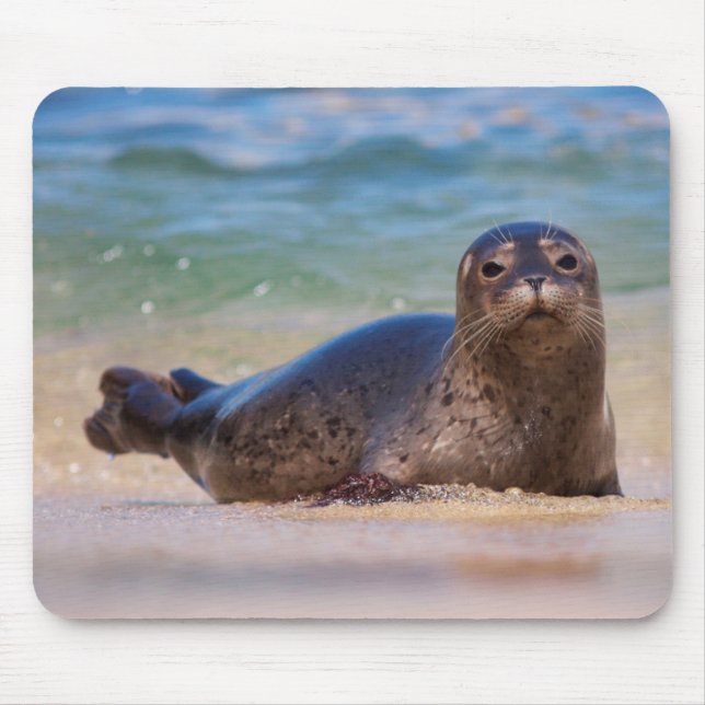 Tapis De Souris Phoque du port bébé dans l'eau (Devant)