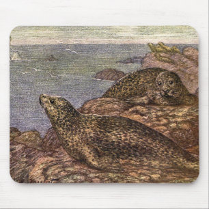 Tapis De Souris Phoques, Animaux Marins de la Vie Océanique Ancien