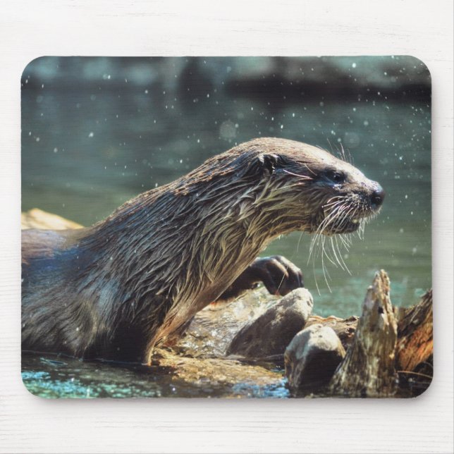 Tapis De Souris Photo animalière de River Otter Animal-lover (Devant)