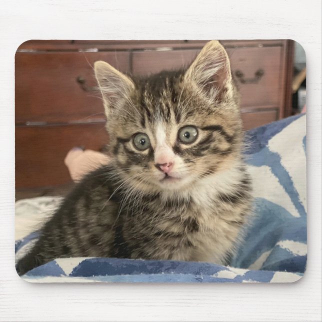 Tapis De Souris Photo d'adorable chaton, ou téléchargez votre prop (Devant)