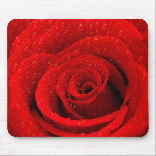 Tapis De Souris Photo d'arrière - plan de rose rouge
