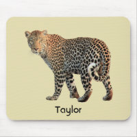 Photo de chat sauvage léopard tacheté