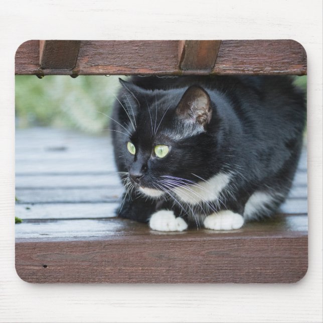Tapis De Souris Photo de chat Tuxedo noir et blanc (Devant)