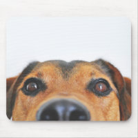 Photo de chien personnalisé moderne