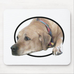 Tapis De Souris Photo de chien Rhodesian Ridgeback