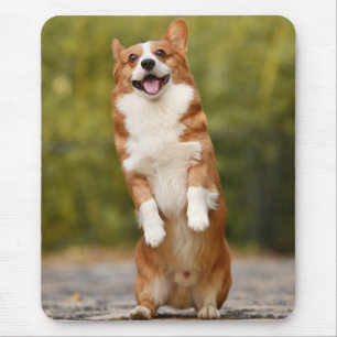 Tapis De Souris Photo de chiot Corgi heureux debout