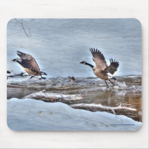 Tapis De Souris Photo de deux oies et neiges du Canada en vol