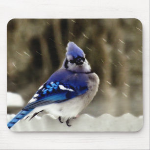 Tapis De Souris Photo de geai bleu