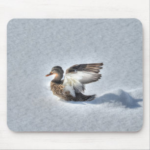 Tapis De Souris Photo de la faune de Mallard Duck Birlover