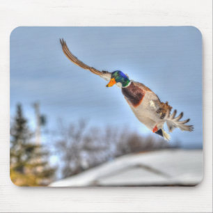 Tapis De Souris Photo de la faune de Mallard Duck Birlover