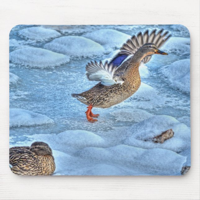 Tapis De Souris Photo de la faune de Mallard Duck Birlover (Devant)