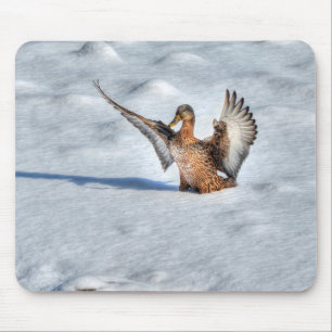 Tapis De Souris Photo de la faune de Mallard Duck Birlover