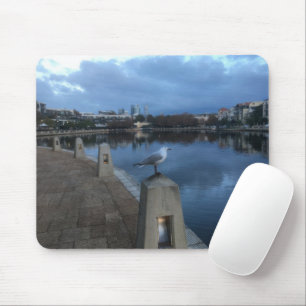 Tapis De Souris Photo de mouette