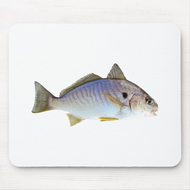 Tapis De Souris Photo de poissons de tache (Devant)