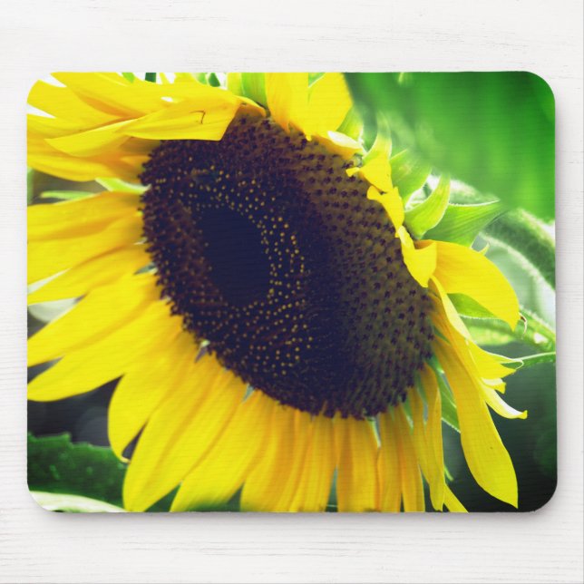Tapis De Souris Photo de tournesol imprimée sur un Mousepad (Devant)