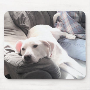 Tapis De Souris Photo du chien blanc mignon accroché avec papa