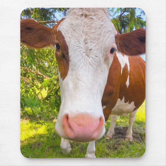 Tapis De Souris Photo d'un animal de ferme de vache (Devant)