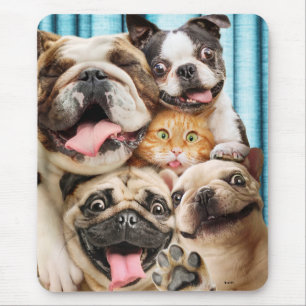 Tapis De Souris Photo d'un groupe de chiens et de chats